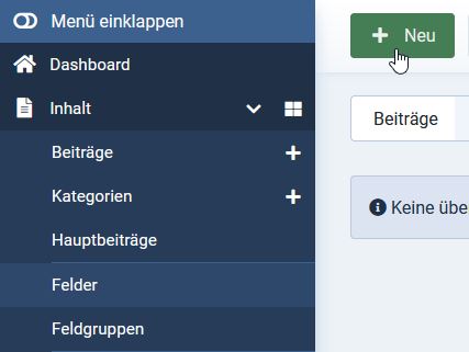 Felder im Beitrag